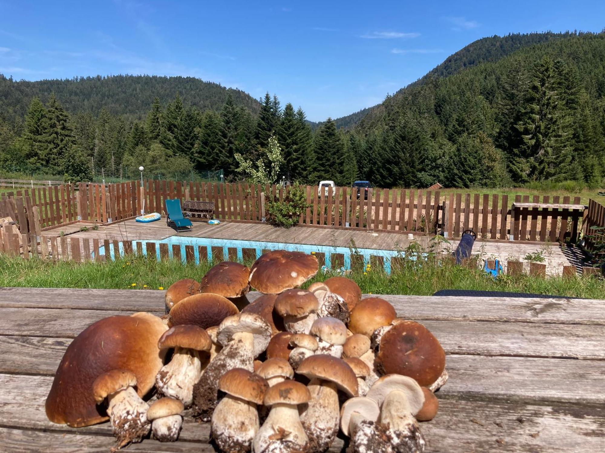 Le Perchoir, Gite 7 Personnes, Le Grand Valtin Ban-sur-Meurthe-Clefcy Esterno foto