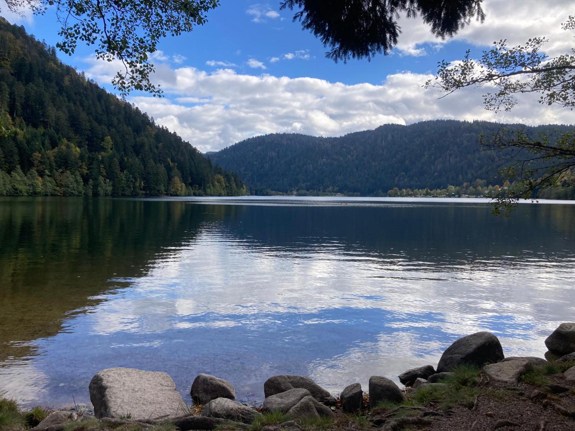 Le Perchoir, Gite 7 Personnes, Le Grand Valtin Ban-sur-Meurthe-Clefcy Esterno foto