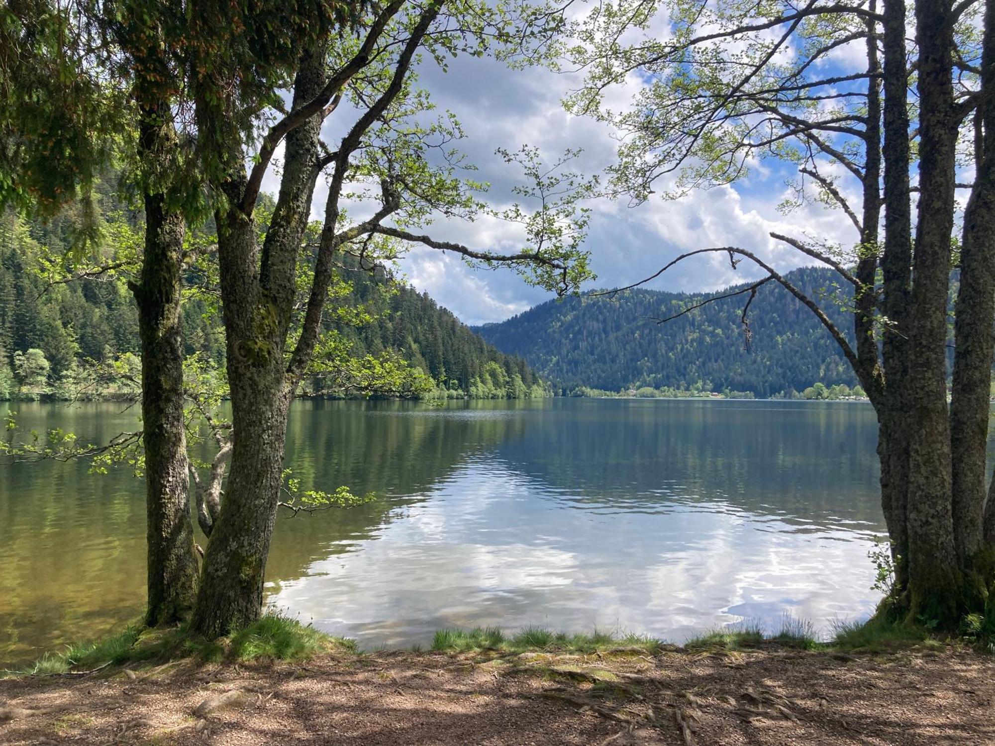 Le Perchoir, Gite 7 Personnes, Le Grand Valtin Ban-sur-Meurthe-Clefcy Esterno foto