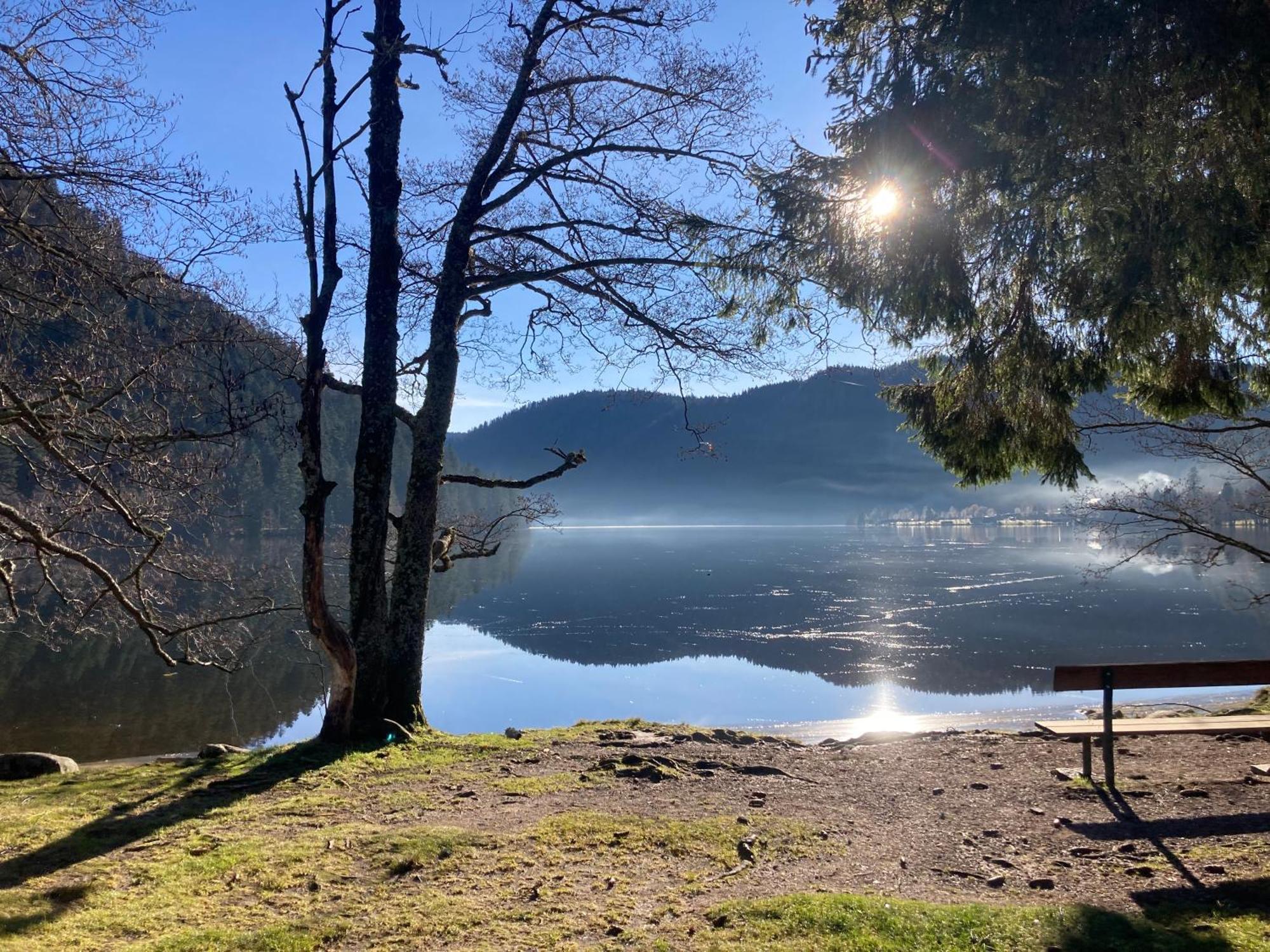 Le Perchoir, Gite 7 Personnes, Le Grand Valtin Ban-sur-Meurthe-Clefcy Esterno foto