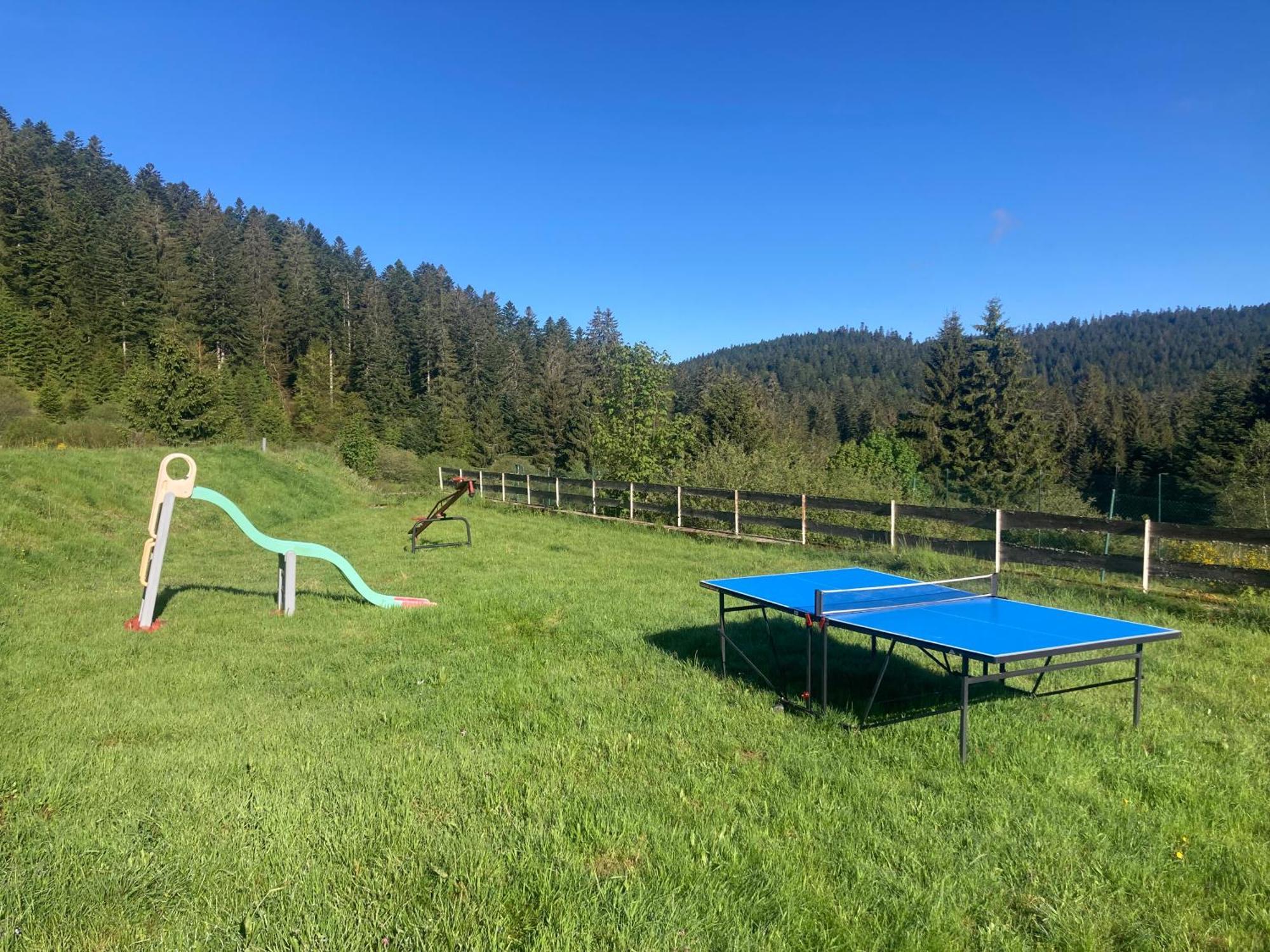 Le Perchoir, Gite 7 Personnes, Le Grand Valtin Ban-sur-Meurthe-Clefcy Esterno foto