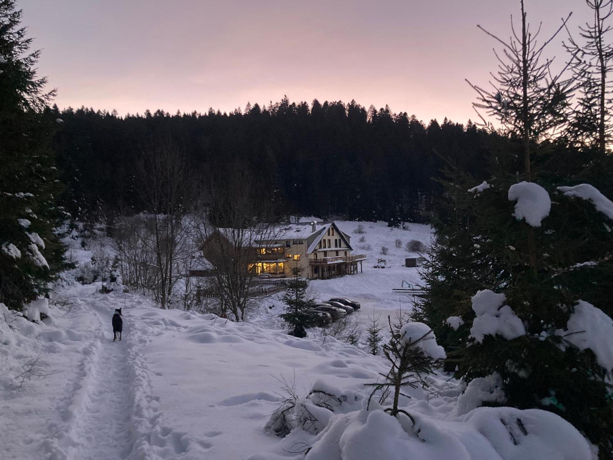 Le Perchoir, Gite 7 Personnes, Le Grand Valtin Ban-sur-Meurthe-Clefcy Esterno foto